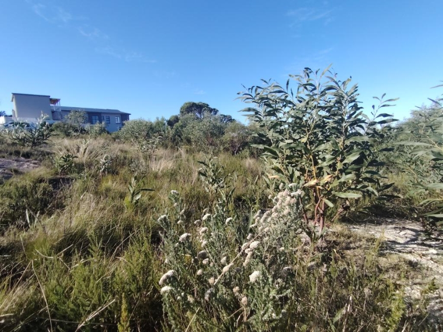 0 Bedroom Property for Sale in Robberg Ridge Western Cape